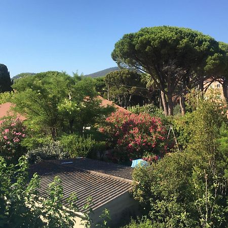 Studio Cosy Proche Mer Saint-Cyr-sur-Mer Kültér fotó