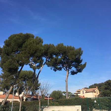 Studio Cosy Proche Mer Saint-Cyr-sur-Mer Kültér fotó