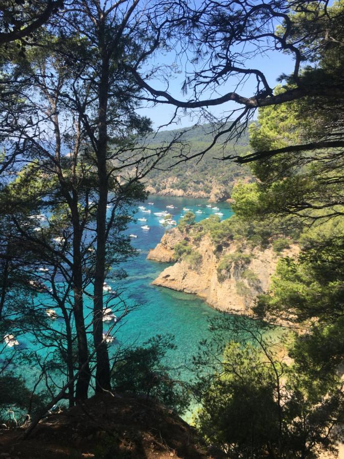 Studio Cosy Proche Mer Saint-Cyr-sur-Mer Kültér fotó