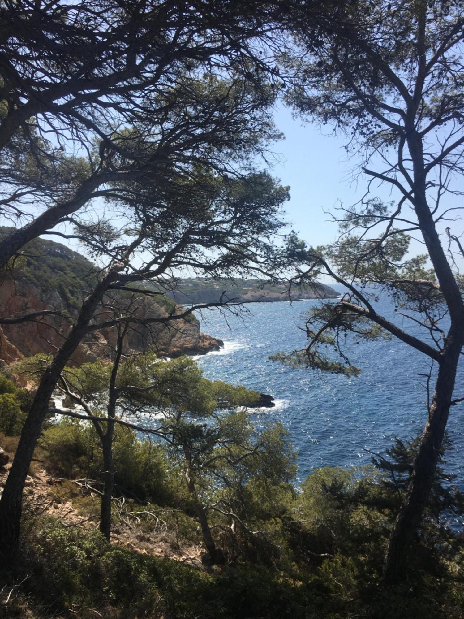 Studio Cosy Proche Mer Saint-Cyr-sur-Mer Kültér fotó