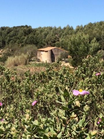 Studio Cosy Proche Mer Saint-Cyr-sur-Mer Kültér fotó
