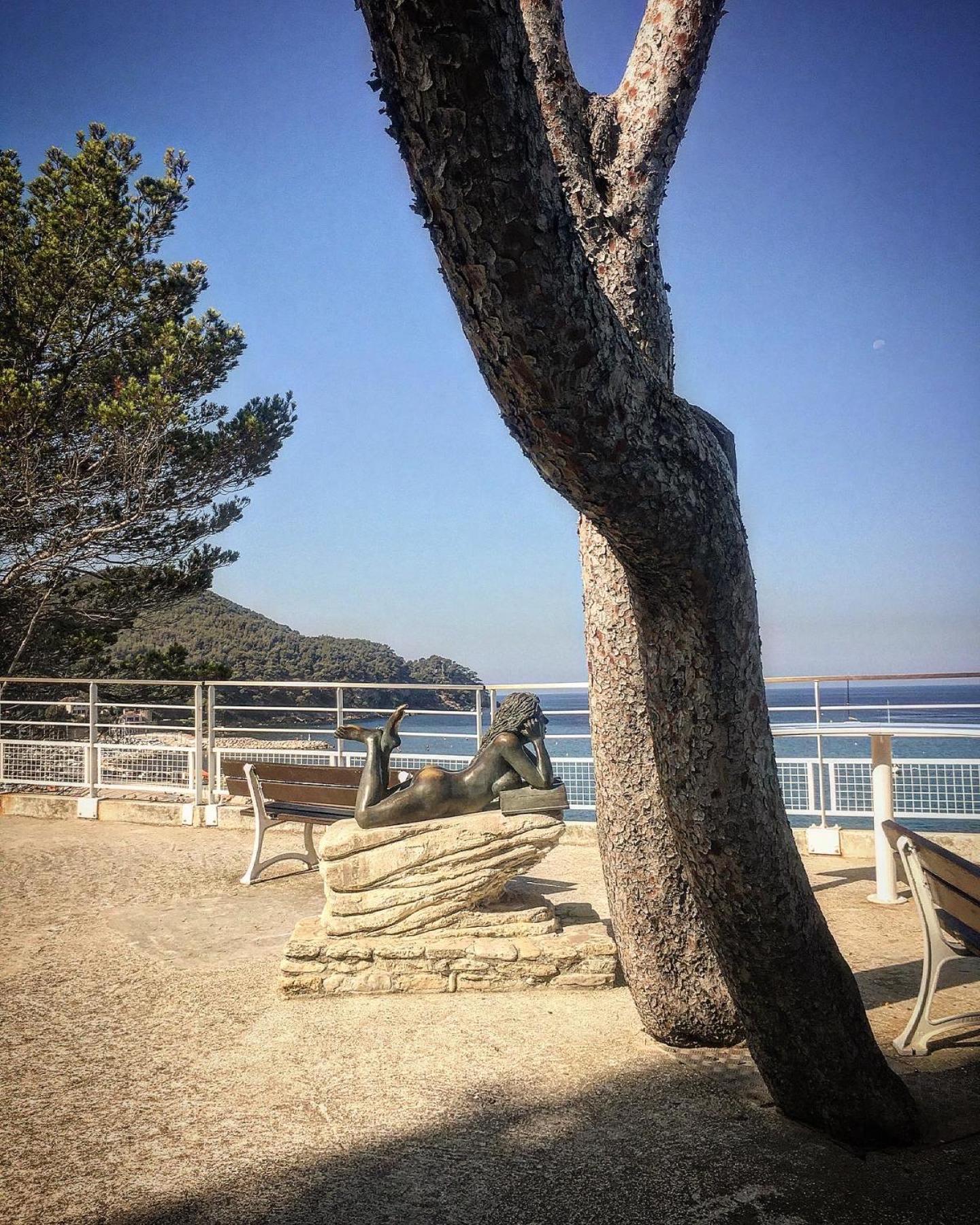 Studio Cosy Proche Mer Saint-Cyr-sur-Mer Kültér fotó